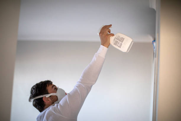 Best Crawl Space Mold Removal  in Millville, UT